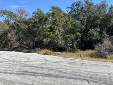 Less than 1.5 miles from the shores of Lake Marion in Poinciana - photo 9