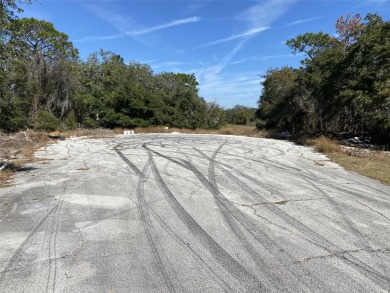 Less than 1.5 miles from the shores of Lake Marion in Poinciana - photo 10