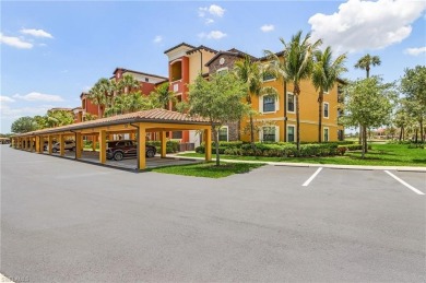 Lake Home For Sale in Bonita Springs, Florida