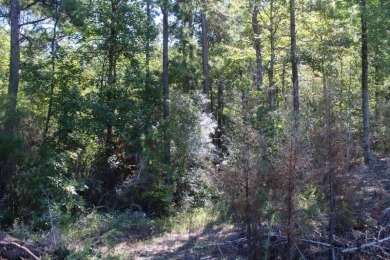 Toledo Bend Reservoir Lot For Sale in Anacoco Louisiana