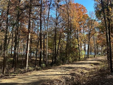 (private lake, pond, coastal) Lot For Sale in Mount Pleasant Texas