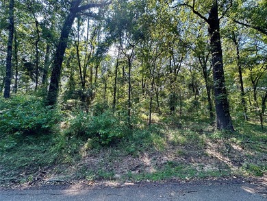 Are you ready to build your lake home in Hope's Landing at Lake - photo 8