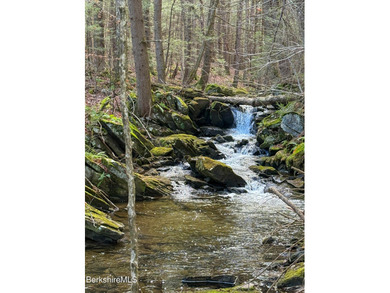 (private lake, pond, creek) Acreage Sale Pending in Becket Massachusetts