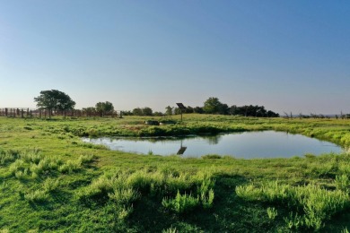 (private lake, pond, creek) Acreage For Sale in Wheeler Texas