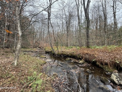 Lake Acreage For Sale in Becket, Massachusetts