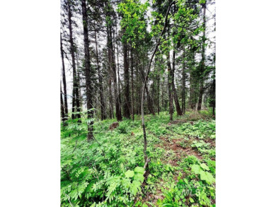 Lake Lot For Sale in Donnelly, Idaho
