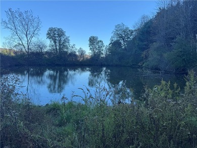 Lake Acreage For Sale in Spencer, New York