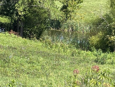This is a beautiful 202-acre farm consisting of five tax parcels - photo 11