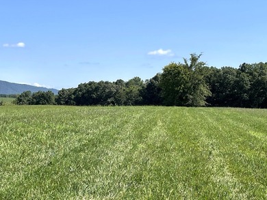 This is a beautiful 202-acre farm consisting of five tax parcels - photo 12