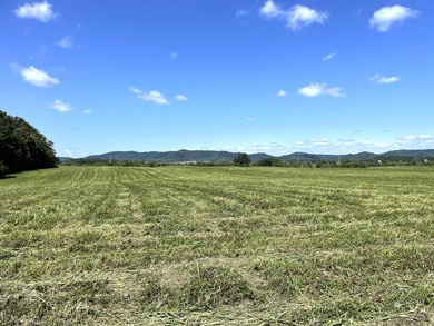This is a beautiful 202-acre farm consisting of five tax parcels - photo 13
