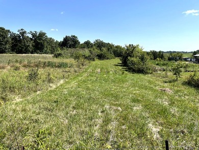 This is a beautiful 202-acre farm consisting of five tax parcels - photo 14