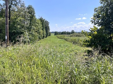 This is a beautiful 202-acre farm consisting of five tax parcels - photo 15