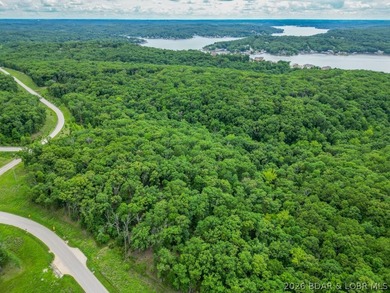 Opportunities like this are becoming rare at Lake of the Ozarks - photo 16