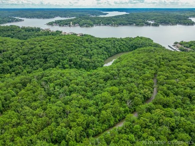 Opportunities like this are becoming rare at Lake of the Ozarks - photo 17