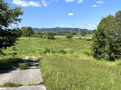 This is a beautiful 202-acre farm consisting of five tax parcels - photo 18