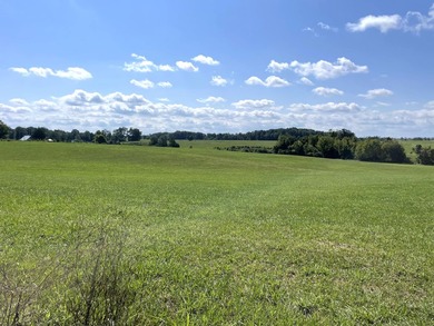 This is a beautiful 202-acre farm consisting of five tax parcels - photo 19