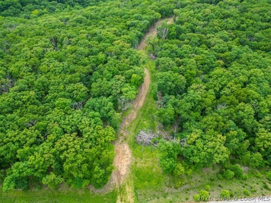 Opportunities like this are becoming rare at Lake of the Ozarks - photo 20
