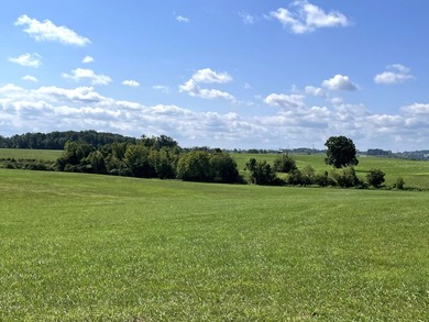 This is a beautiful 202-acre farm consisting of five tax parcels - photo 20