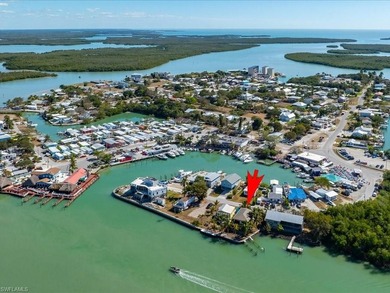 PRICE DROP!!! DEEP DIRECT GULF ACCESS two sides of the property - photo 22