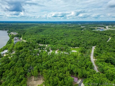 Opportunities like this are becoming rare at Lake of the Ozarks - photo 26