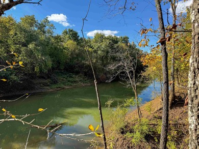 Nestled between the Black and Strawberry Rivers, this 525+/- - photo 9