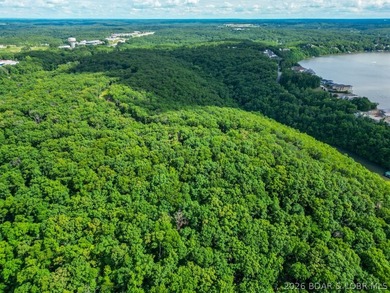 Opportunities like this are becoming rare at Lake of the Ozarks - photo 32