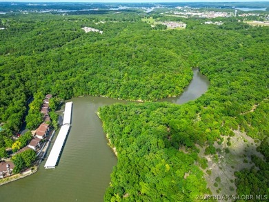 Opportunities like this are becoming rare at Lake of the Ozarks - photo 37