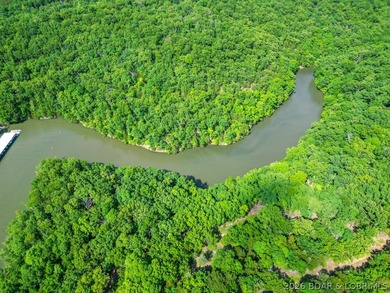 Opportunities like this are becoming rare at Lake of the Ozarks - photo 40