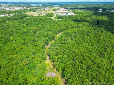 Opportunities like this are becoming rare at Lake of the Ozarks - photo 42