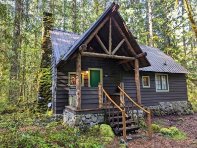 Lake Home Off Market in Government Camp, Oregon