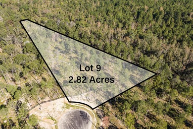 Strom Thurmond / Clarks Hill Lake Acreage For Sale in Appling Georgia