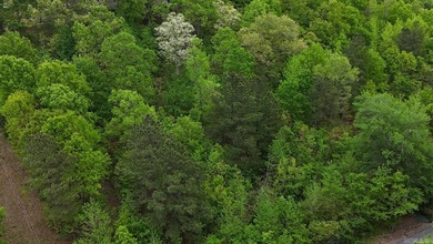 Discover the perfect blend of nature and convenience on this - photo 4
