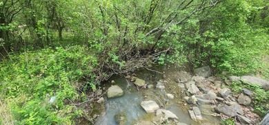 Discover the perfect blend of nature and convenience on this - photo 5