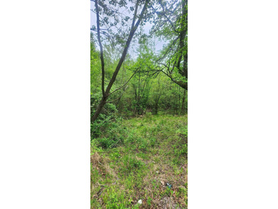 Discover the perfect blend of nature and convenience on this - photo 8
