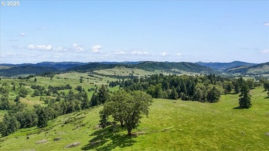 Nestled in Oregon's scenic Umpqua Valley, this extraordinary 2 - photo 10