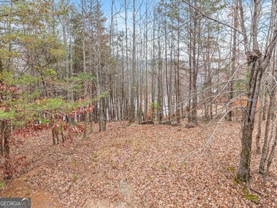 Rare opportunity to own Lake frontage in this highly - photo 3