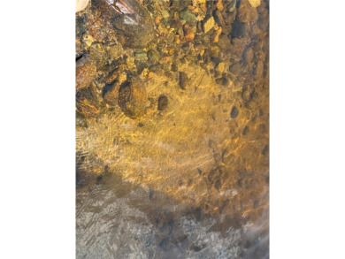 Furnished Lake Eshquaguma 3BR Yr Round Lake Home Built By