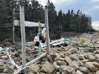 Large bold oceanfront parcel on the west facing shore of - photo 13