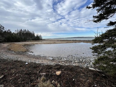 Large bold oceanfront parcel on the west facing shore of - photo 17