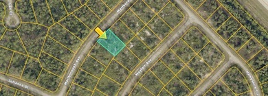 Northport Waterway Lakes and Canals Lot For Sale in North Port Florida