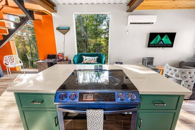 Unique Turn Key short term rental investment on Table Rock Lake - photo 37