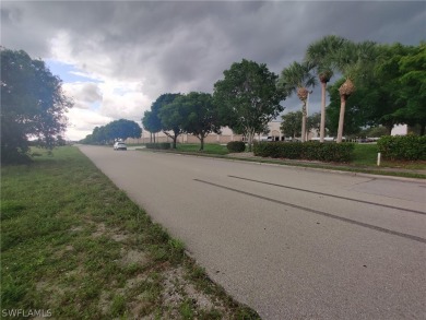 Lake Commercial For Sale in Cape Coral, Florida