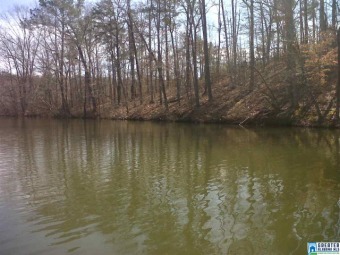 (private lake, pond, creek) Lot For Sale in McCalla Alabama