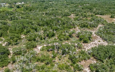 This is your chance to own 19+ acres just a couple minutes from - photo 4