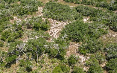 This is your chance to own 19+ acres just a couple minutes from - photo 5