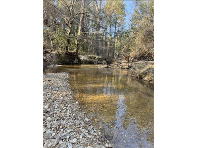 This 50+/- acre tract in the East Lincoln community of Lincoln - photo 1