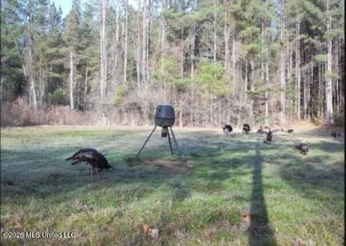This 50+/- acre tract in the East Lincoln community of Lincoln - photo 4