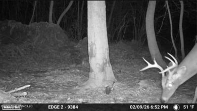 This 50+/- acre tract in the East Lincoln community of Lincoln - photo 6