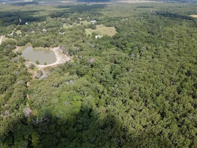 Lake Acreage For Sale in Quinlan, Texas