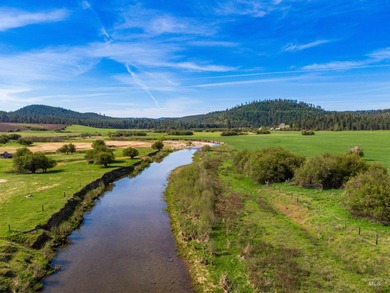 (private lake, pond, creek) Home For Sale in Harvard Idaho